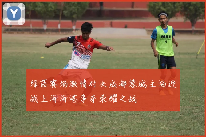 绿茵赛场激情对决成都蓉城主场迎战上海海港争夺荣耀之战