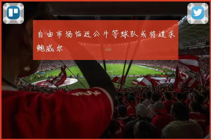 自由市场临近公牛等球队或将追求鲍威尔